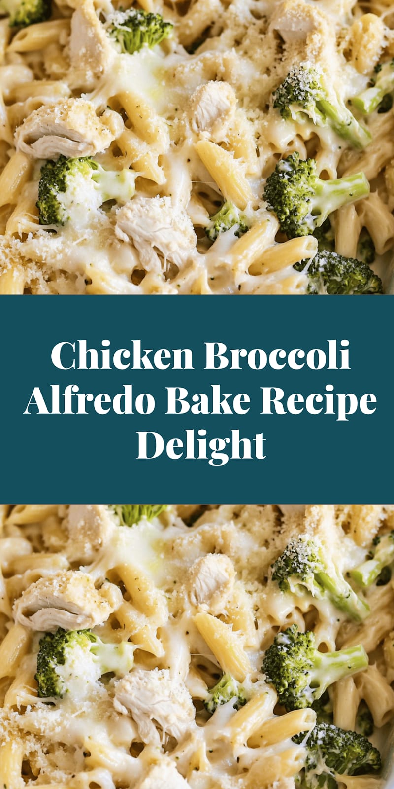 Chicken Broccoli Alfredo Bake Recipe Delight