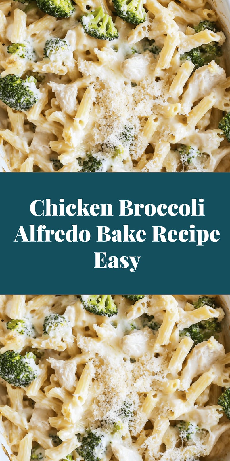Chicken Broccoli Alfredo Bake Recipe Easy