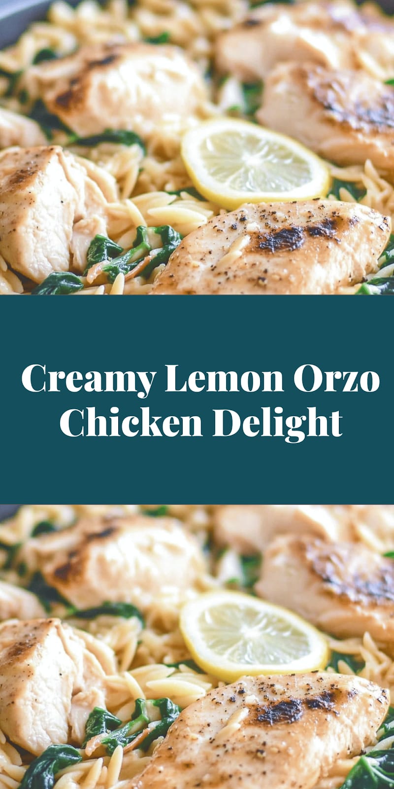 Creamy Lemon Orzo Chicken Delight