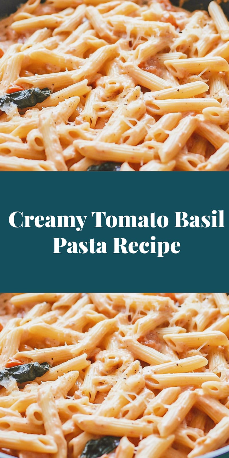 Creamy Tomato Basil Pasta Recipe