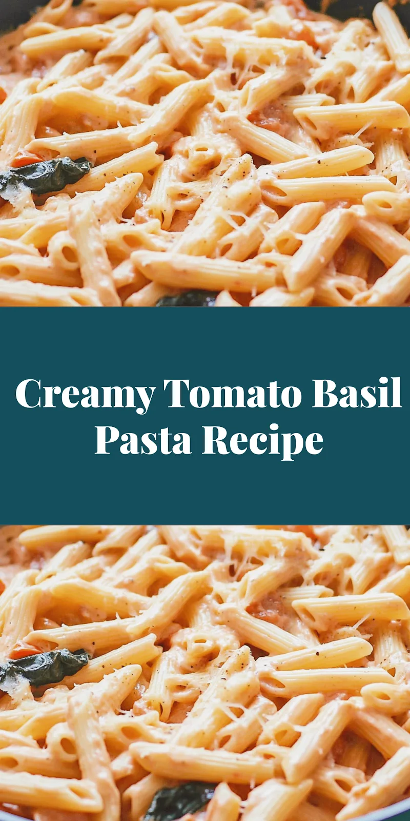 Creamy Tomato Basil Pasta Recipe