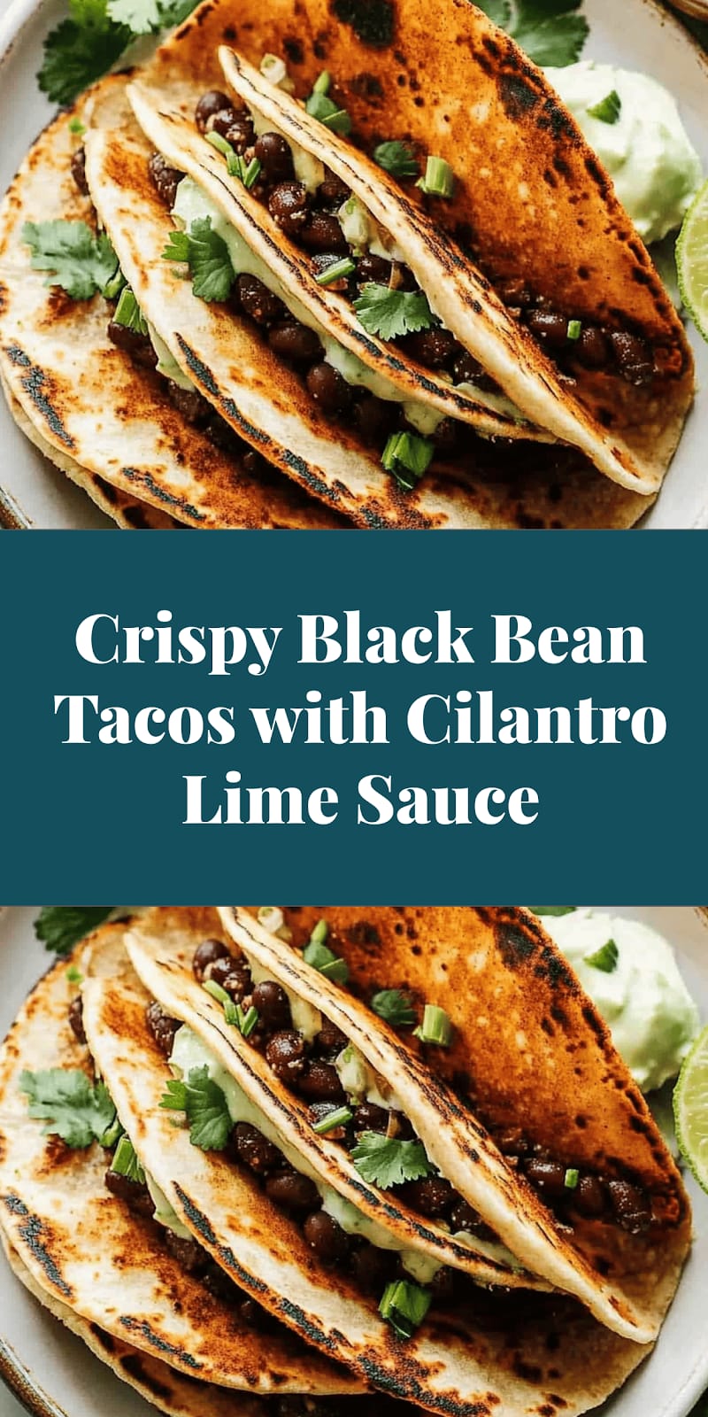 Crispy Black Bean Tacos with Cilantro Lime Sauce