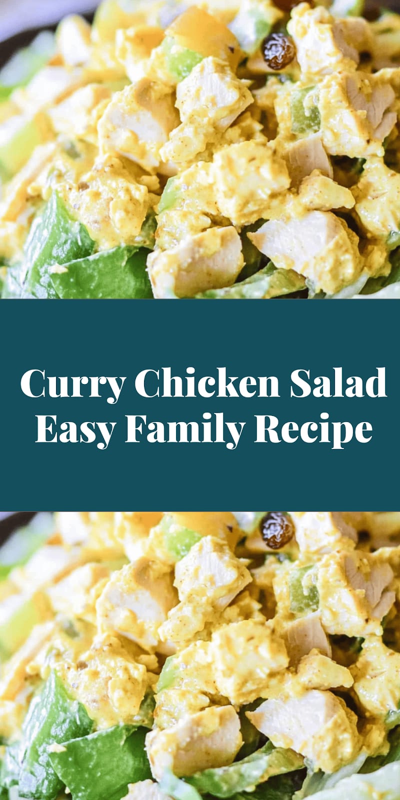 Curry Chicken Salad Easy Family Recipe