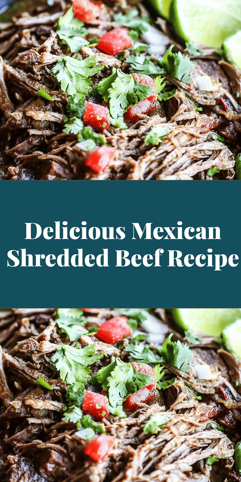 Delicious Mexican Shredded Beef Recipe