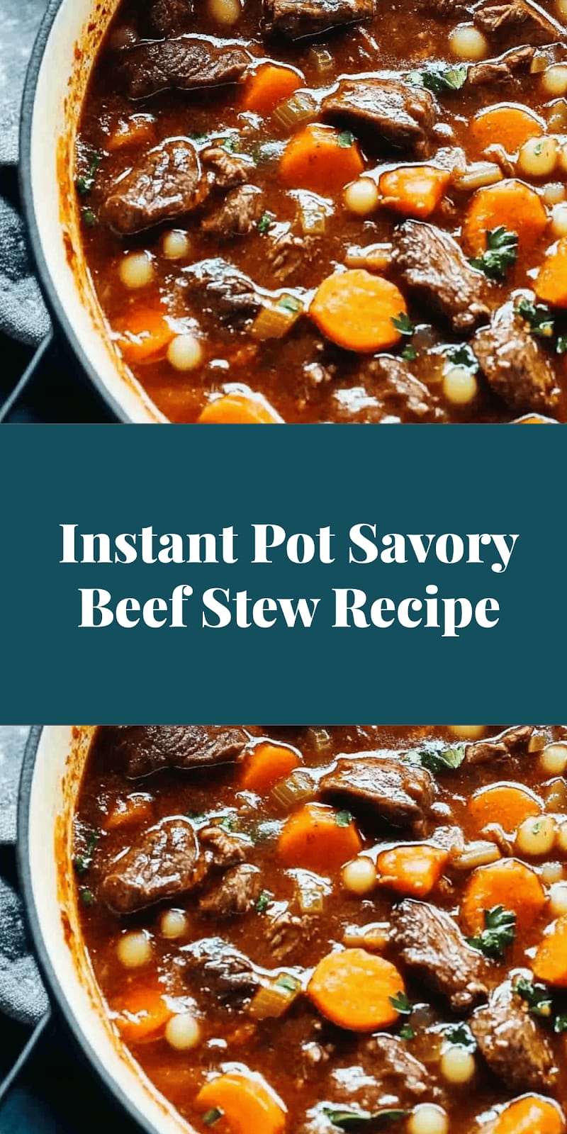 Instant Pot Savory Beef Stew Recipe