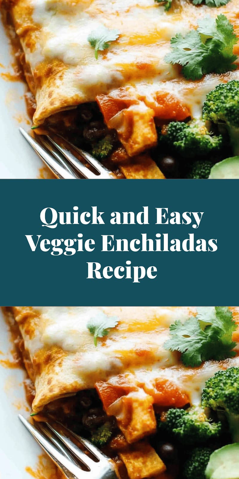 Quick and Easy Veggie Enchiladas Recipe