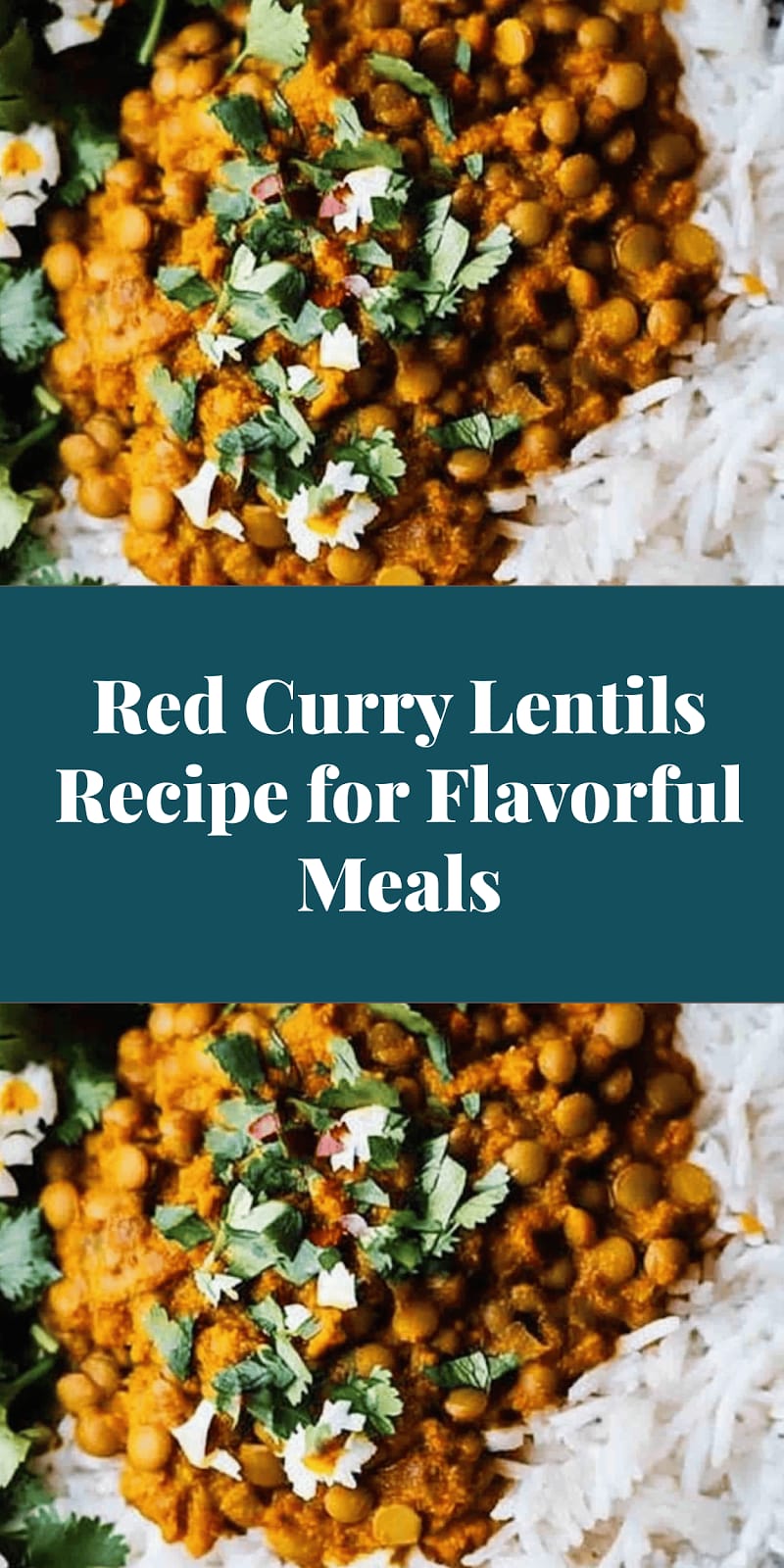 Red Curry Lentils Recipe for Flavorful Meals