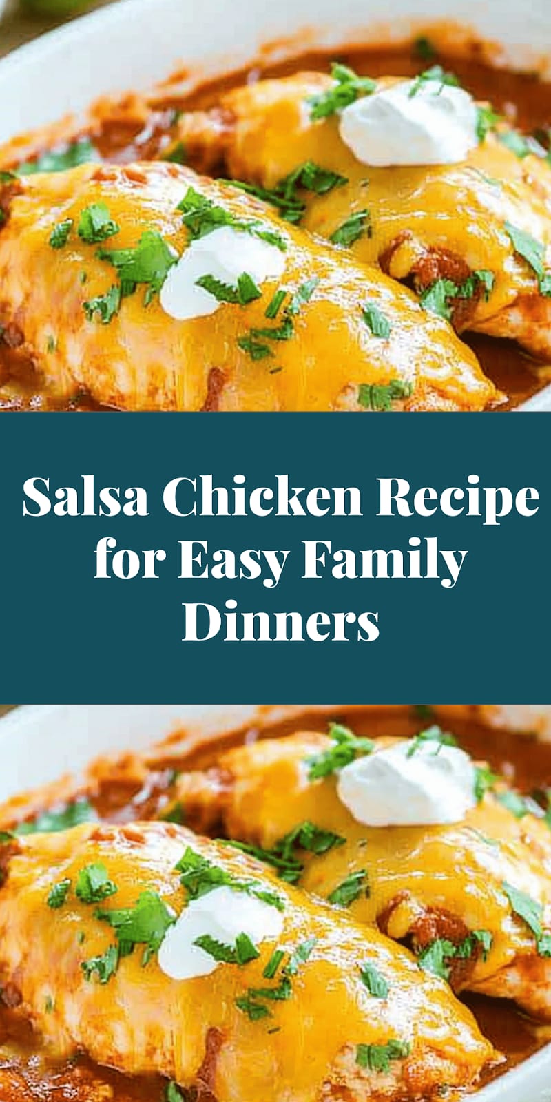 Salsa Chicken Recipe for Easy Family Dinners
