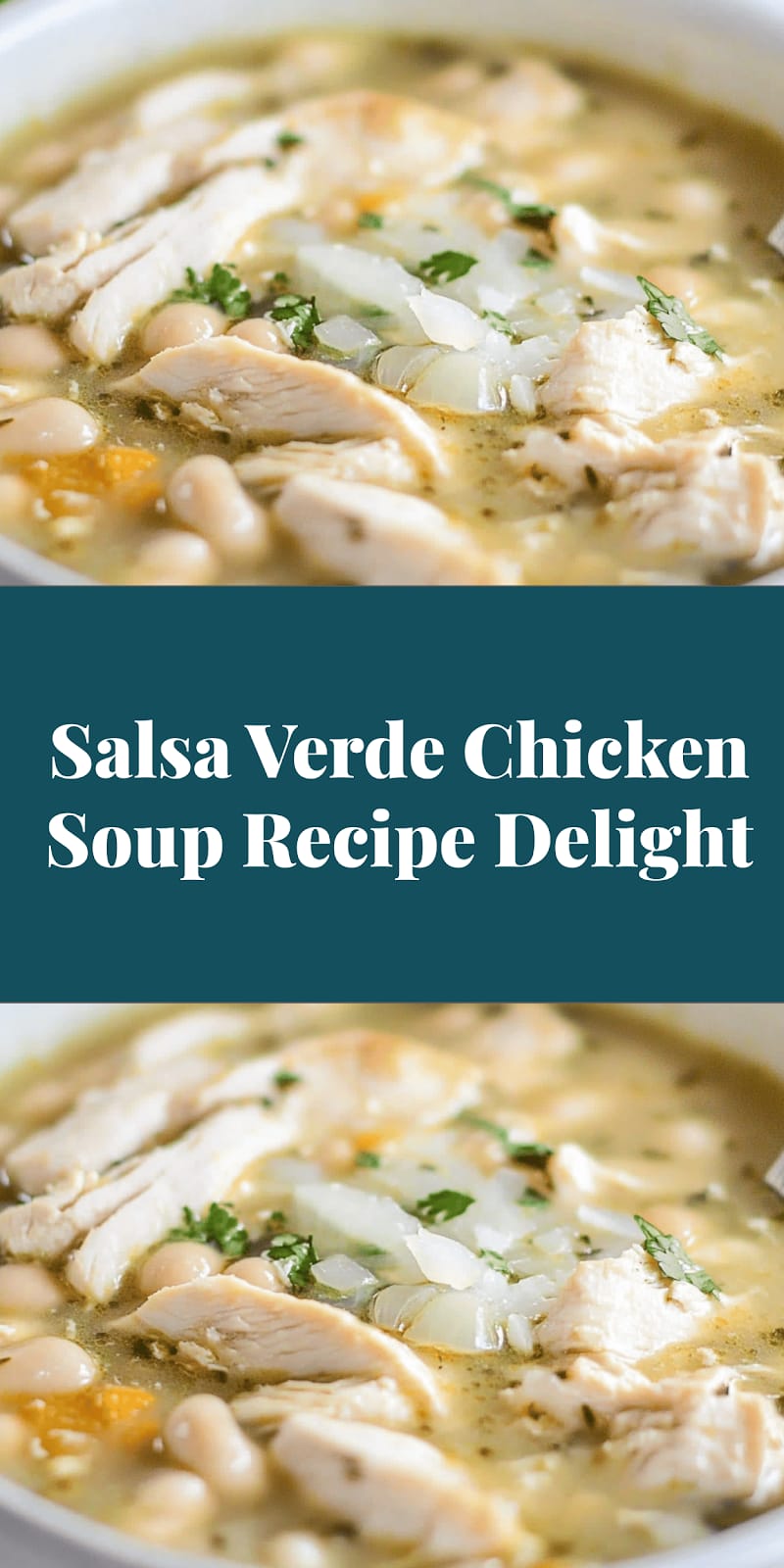 Salsa Verde Chicken Soup Recipe Delight