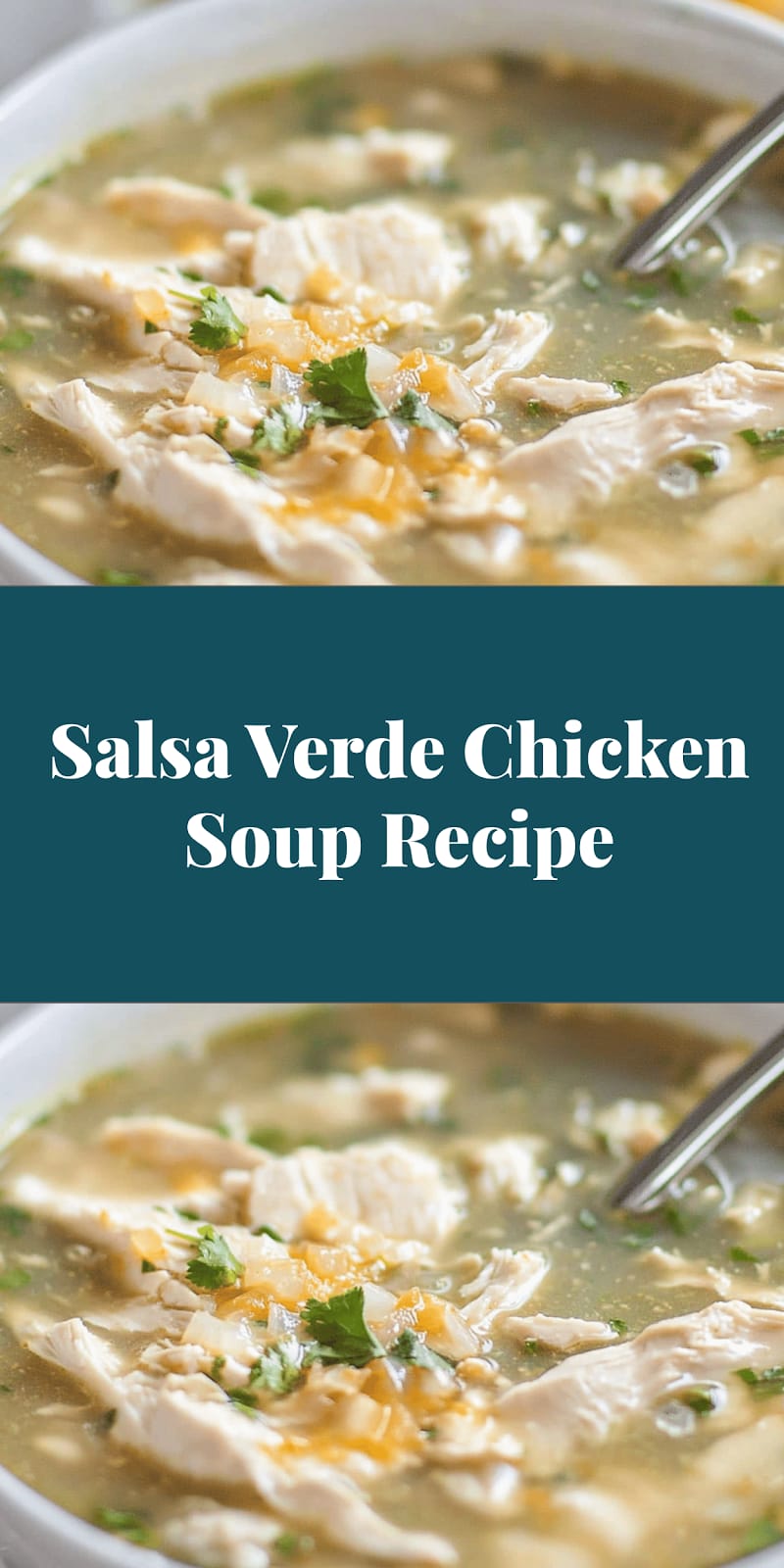 Salsa Verde Chicken Soup Recipe