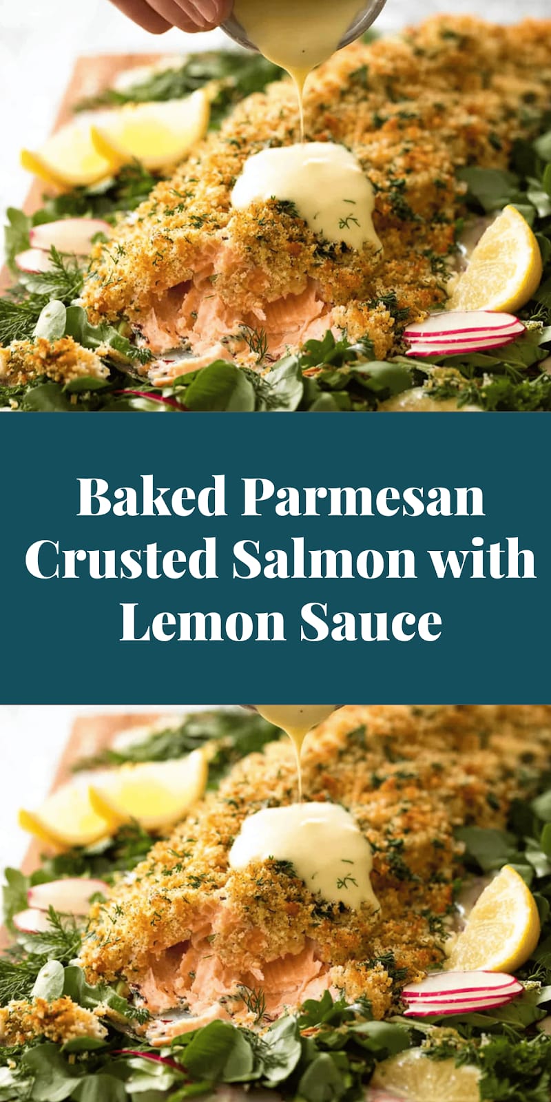 Baked Parmesan Crusted Salmon with Lemon Sauce