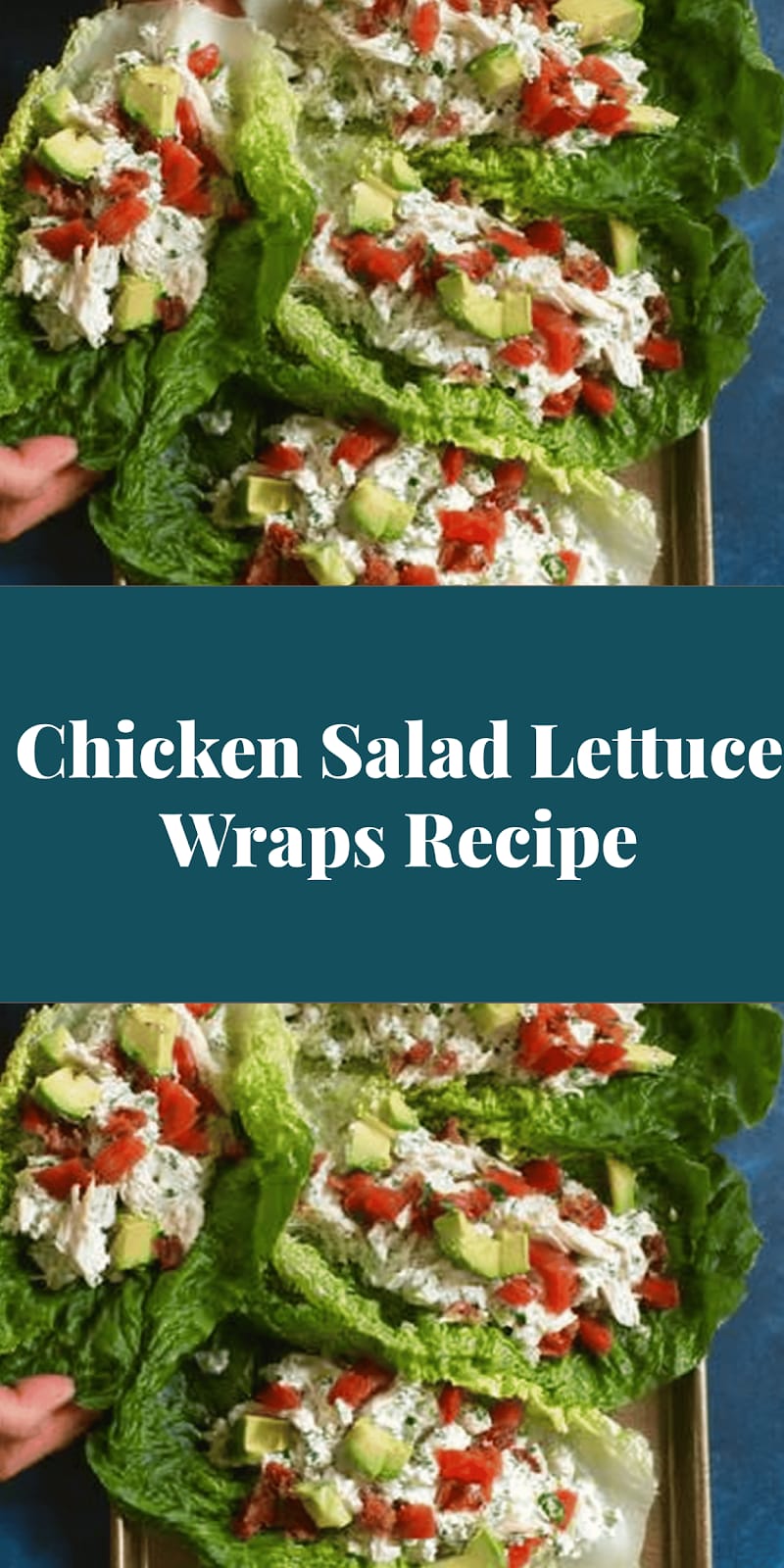 Chicken Salad Lettuce Wraps Recipe