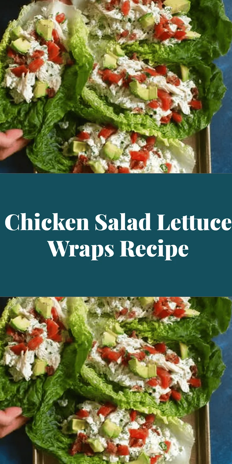 Chicken Salad Lettuce Wraps Recipe