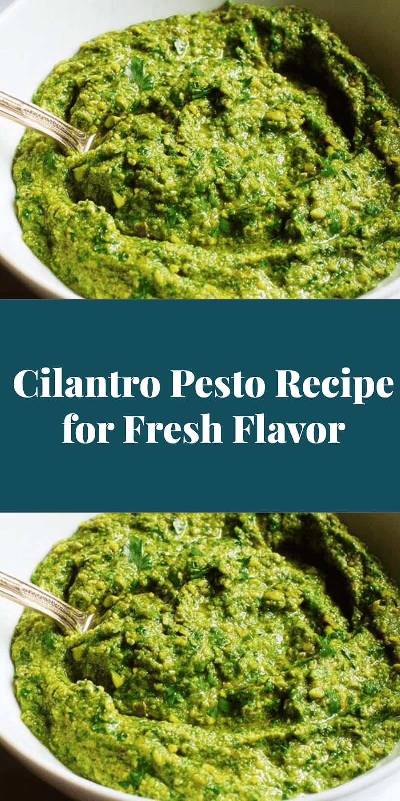 Cilantro Pesto Recipe for Fresh Flavor