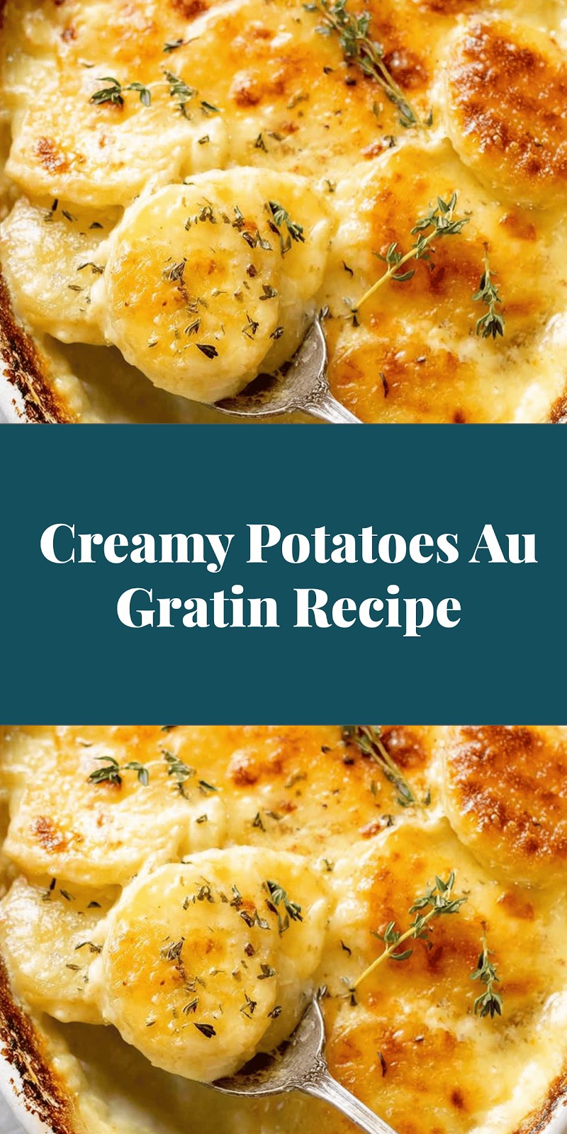 Creamy Potatoes Au Gratin Recipe