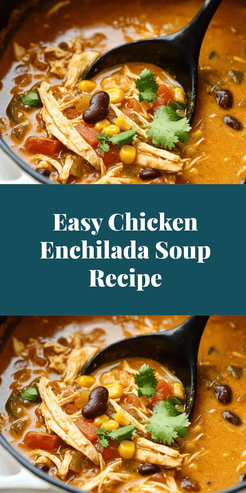 Easy Chicken Enchilada Soup Recipe