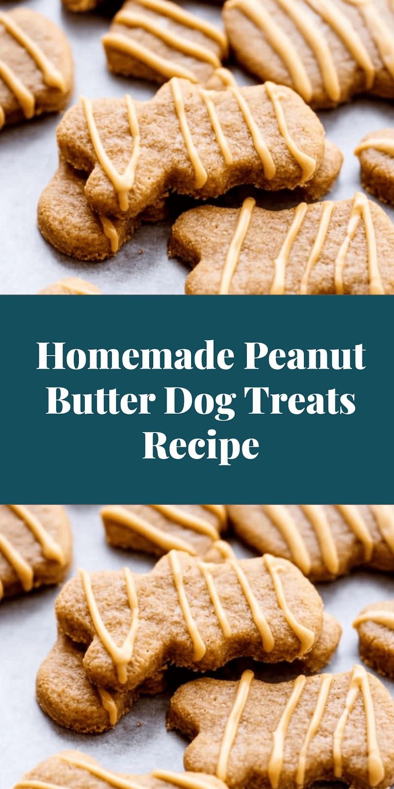 Homemade Peanut Butter Dog Treats Recipe