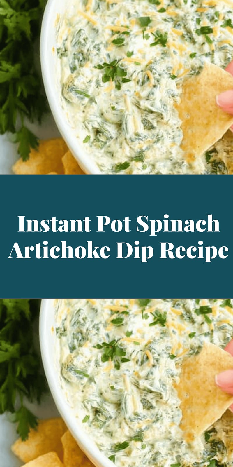 Instant Pot Spinach Artichoke Dip Recipe