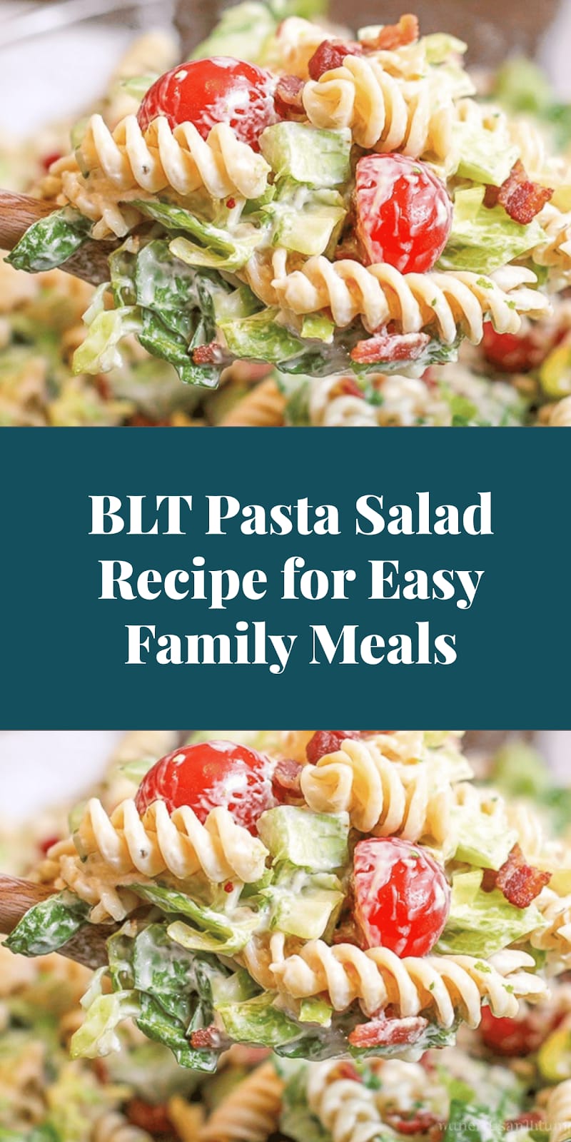 BLT Pasta Salad Recipe for Easy Family Meals