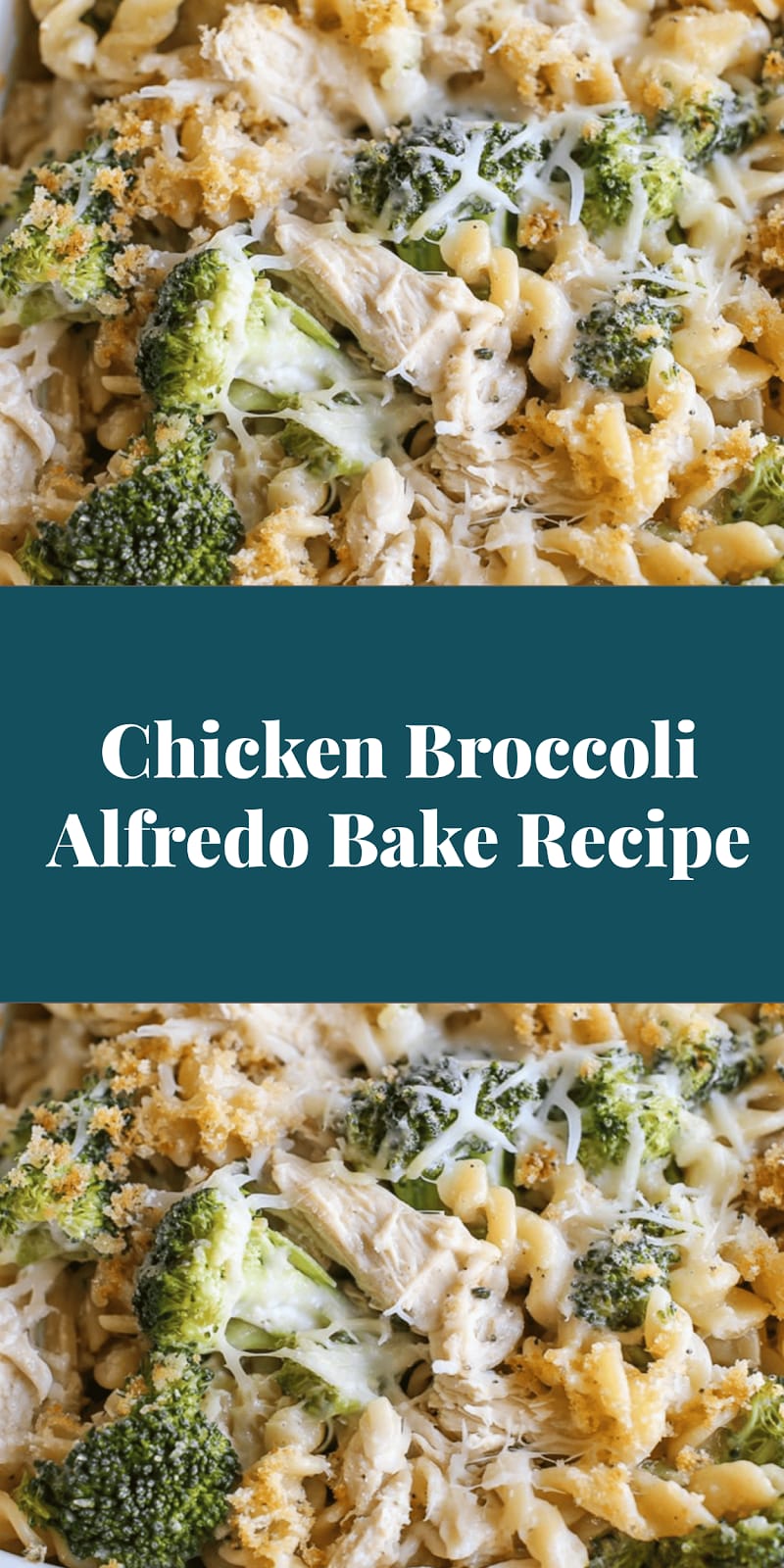 Chicken Broccoli Alfredo Bake Recipe