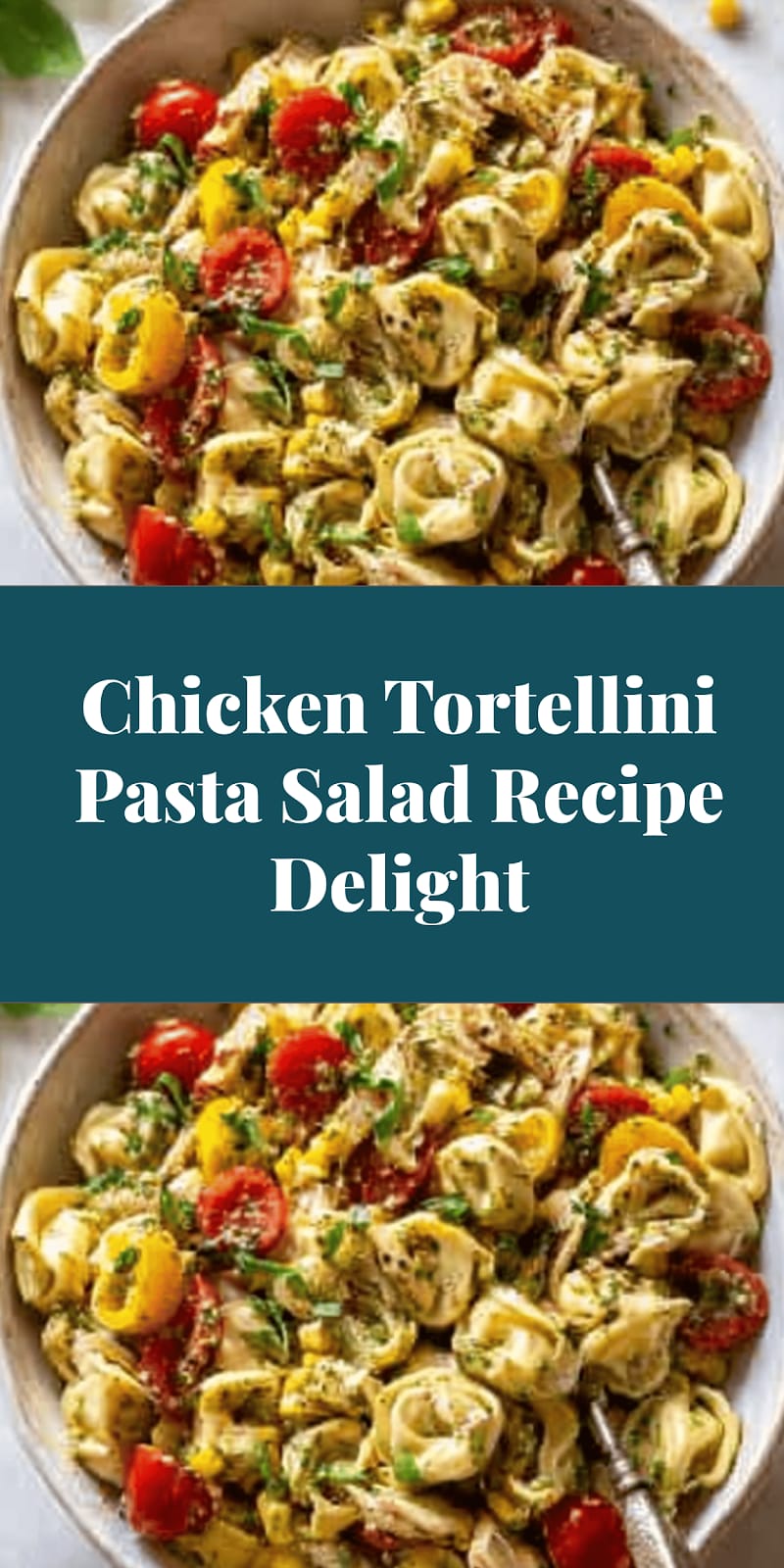 Chicken Tortellini Pasta Salad Recipe Delight
