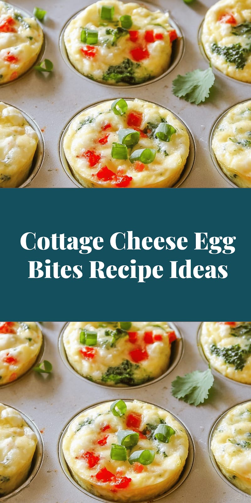 Cottage Cheese Egg Bites Recipe Ideas