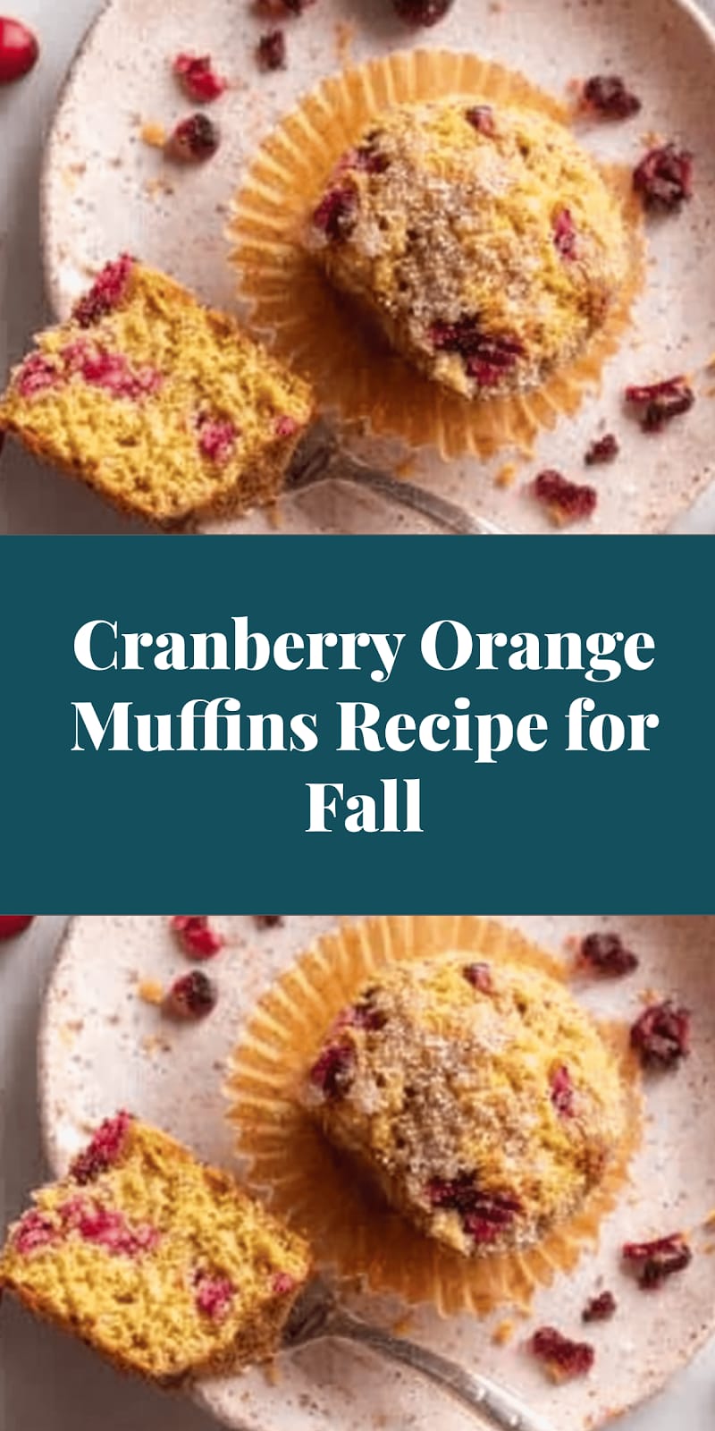 Cranberry Orange Muffins Recipe for Fall