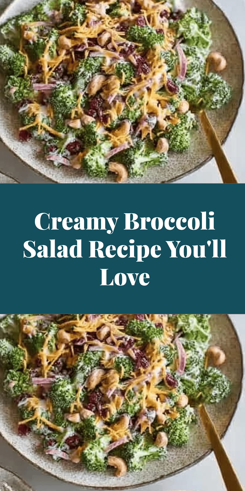 Creamy Broccoli Salad Recipe You'll Love