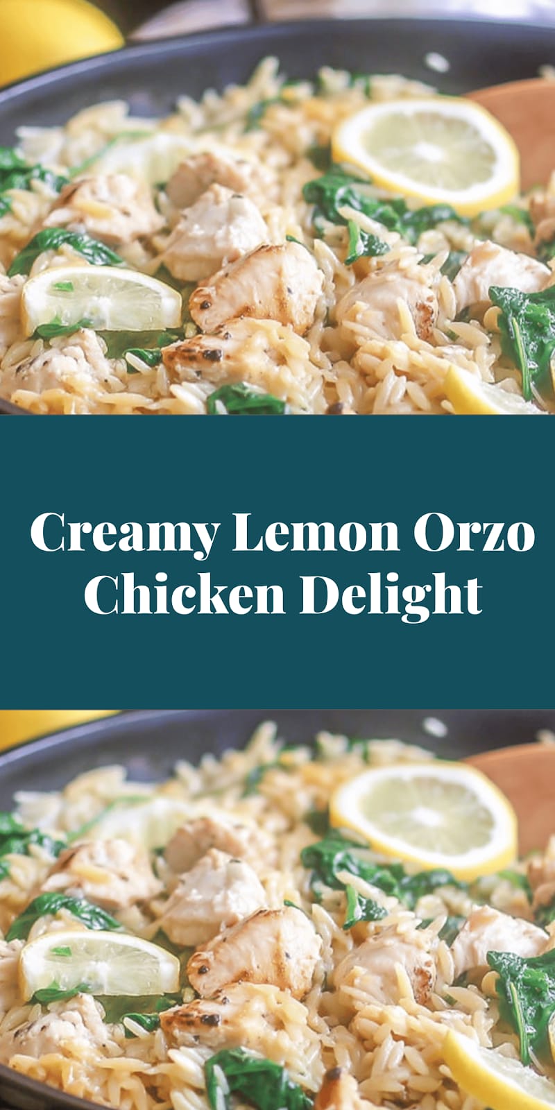 Creamy Lemon Orzo Chicken Delight