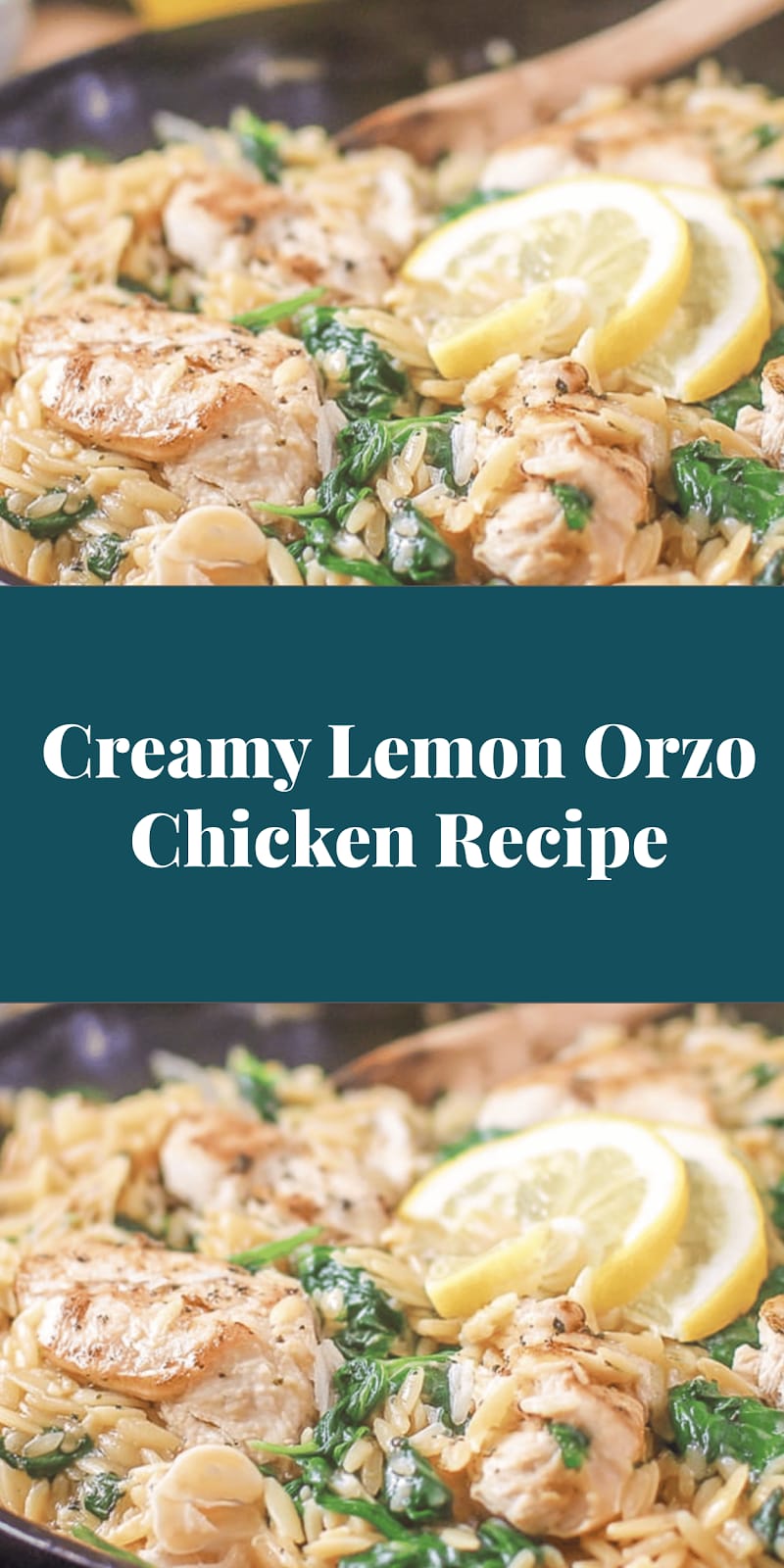 Creamy Lemon Orzo Chicken Recipe