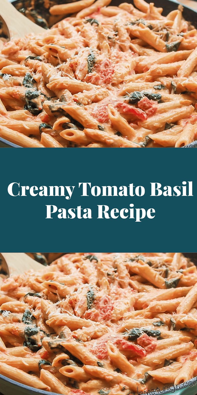 Creamy Tomato Basil Pasta Recipe
