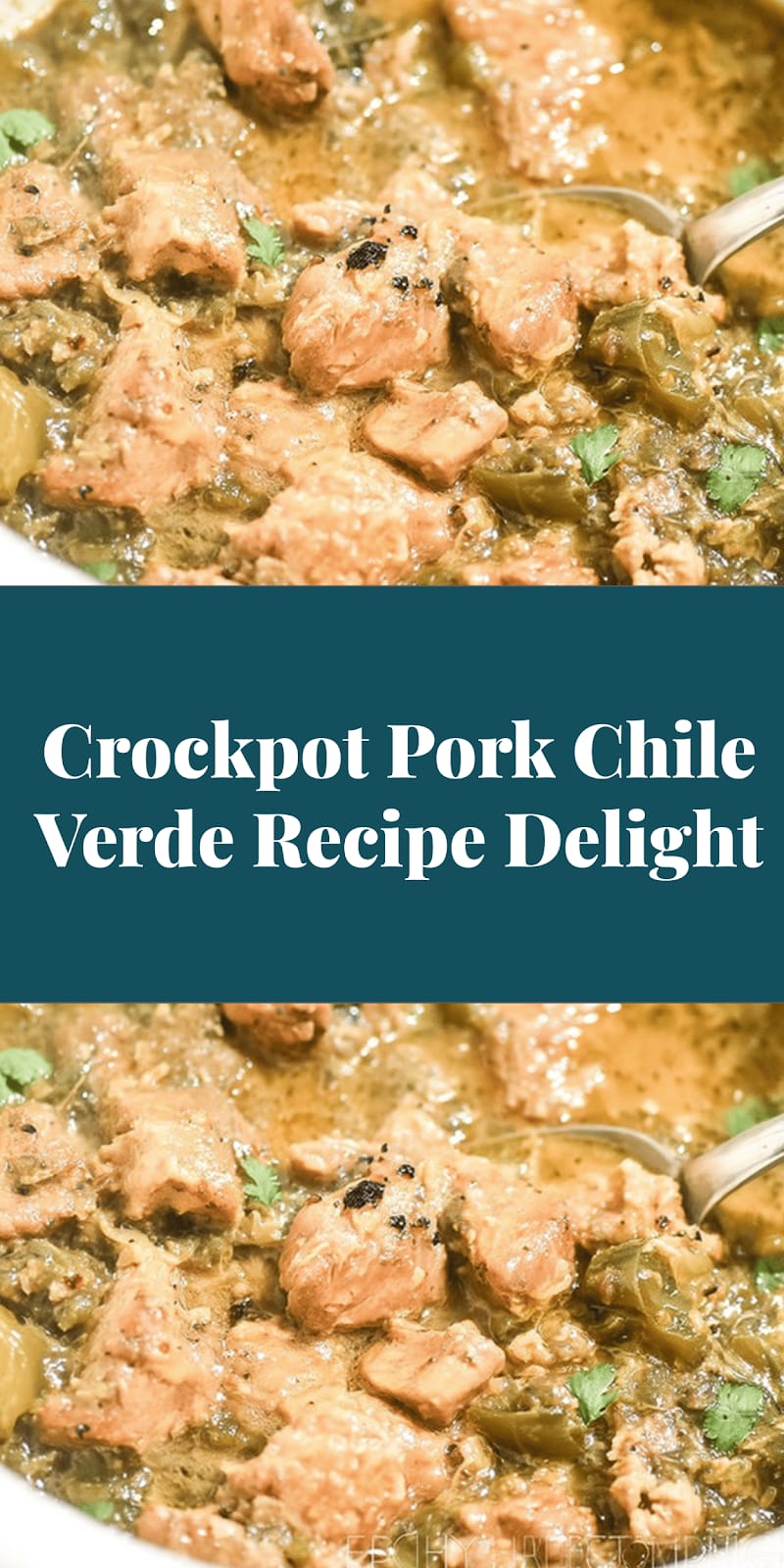 Crockpot Pork Chile Verde Recipe Delight