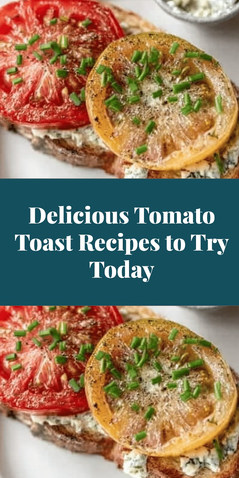 Delicious Tomato Toast Recipes to Try Today