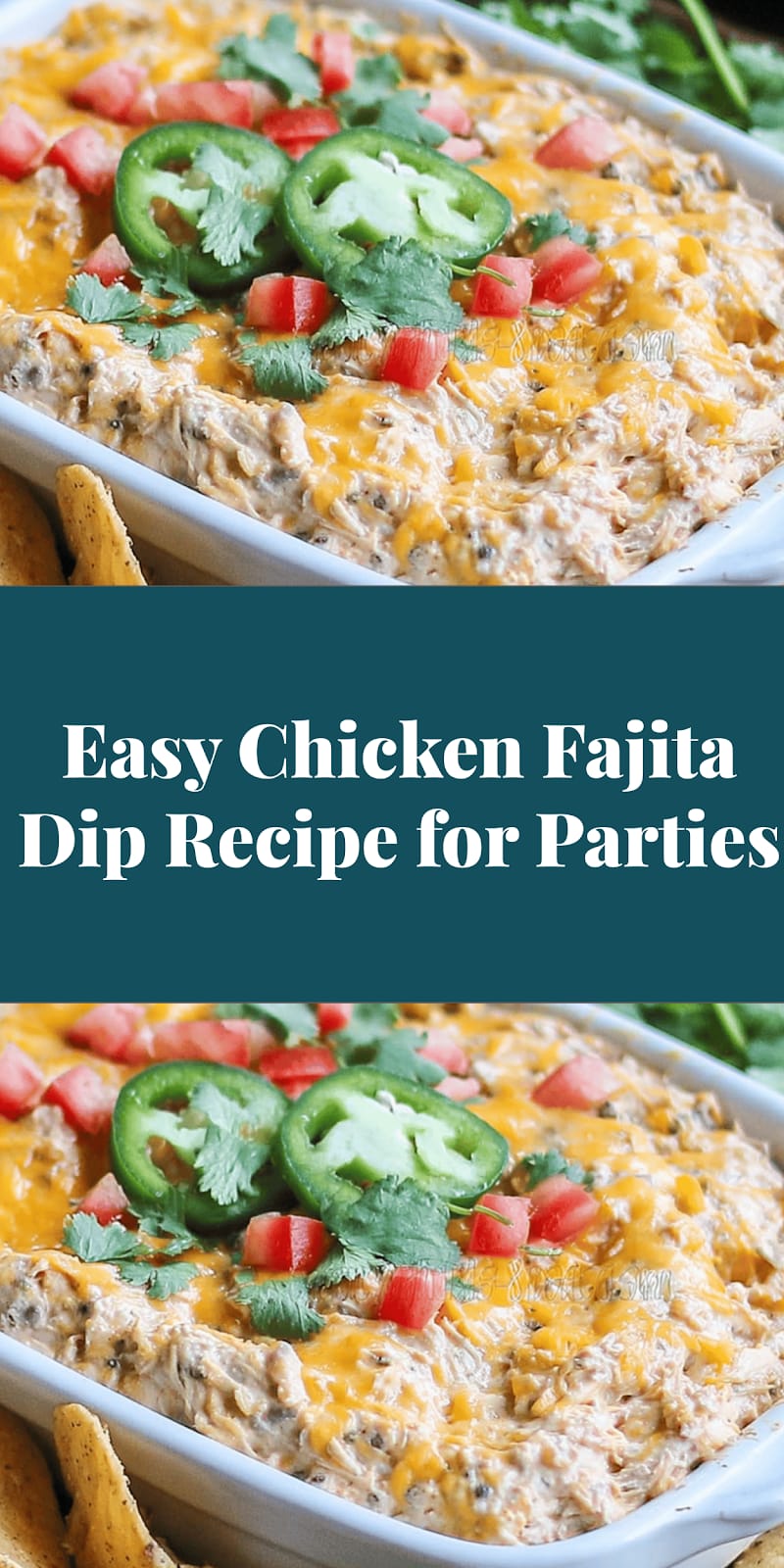 Easy Chicken Fajita Dip Recipe for Parties