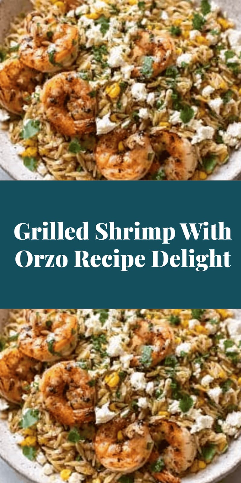 Grilled Shrimp With Orzo Recipe Delight