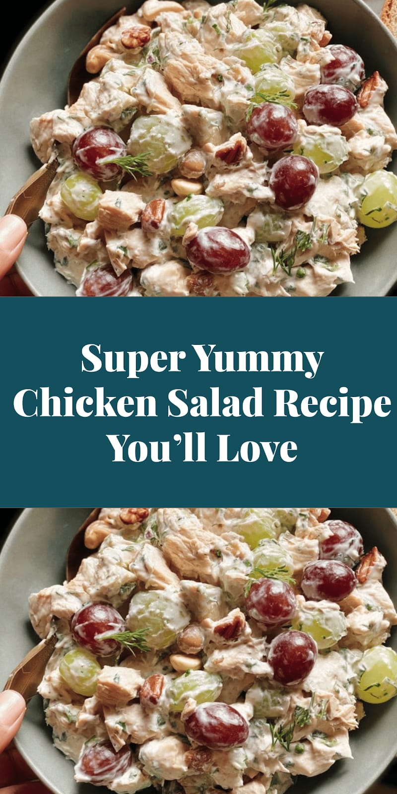 Super Yummy Chicken Salad Recipe You’ll Love
