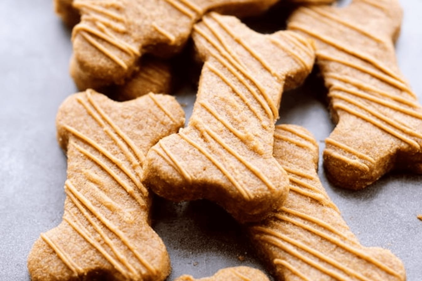 Homemade Peanut Butter Dog Treats Recipe