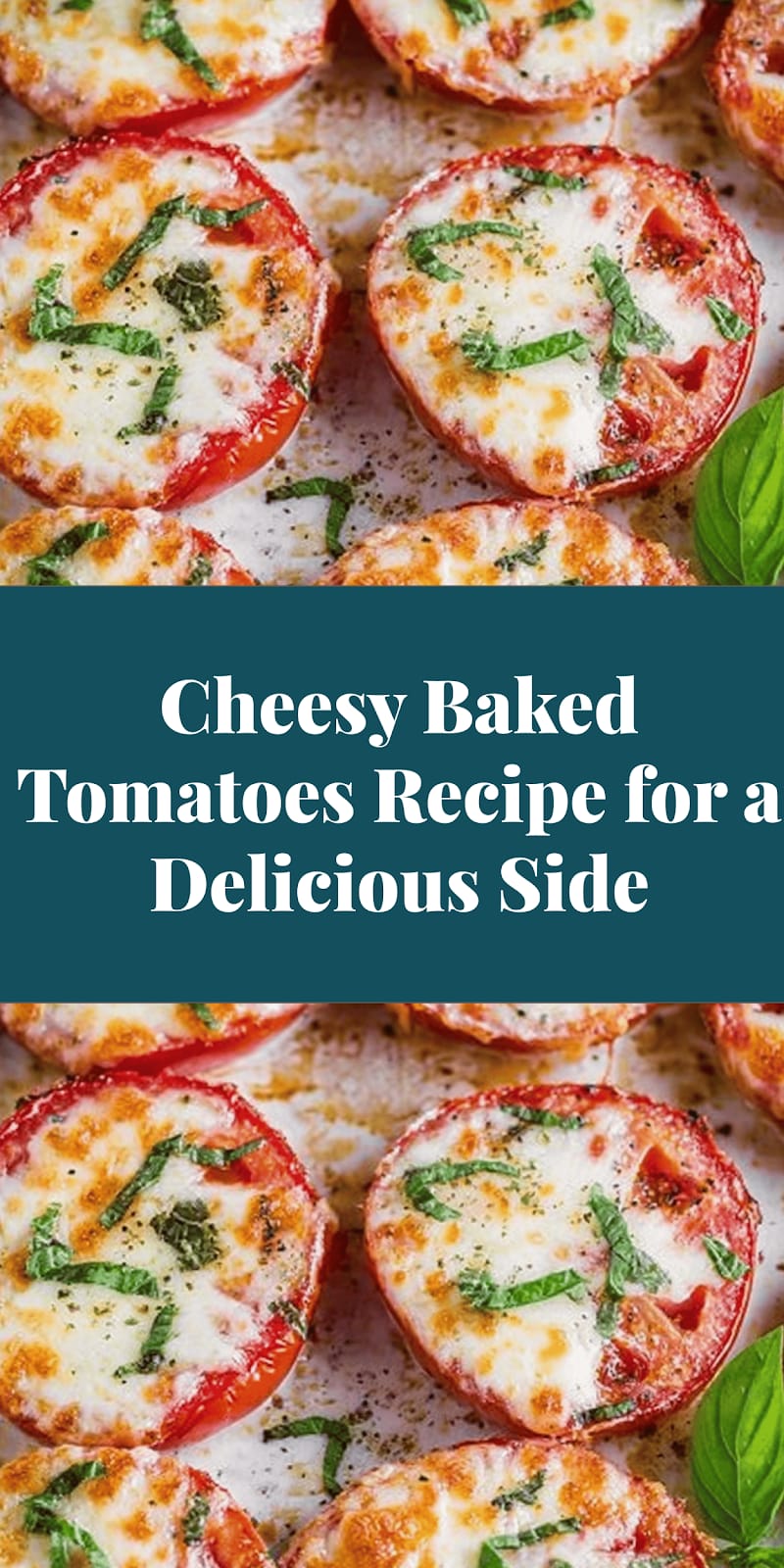 Cheesy Baked Tomatoes Recipe for a Delicious Side
