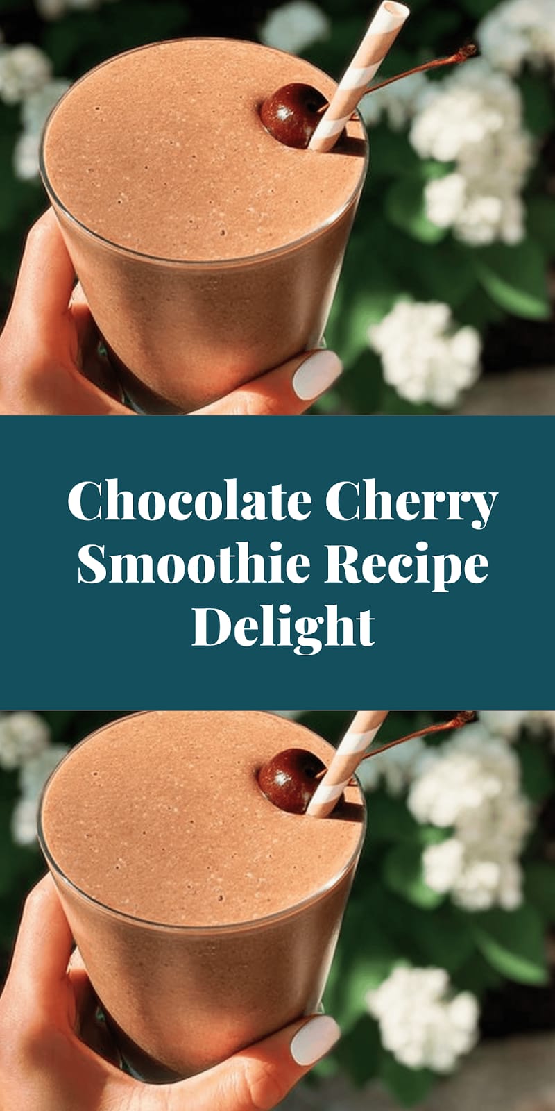 Chocolate Cherry Smoothie Recipe Delight