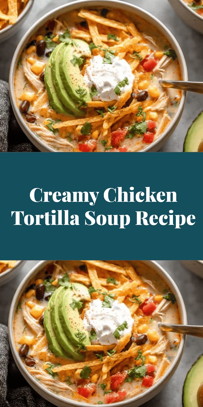 Creamy Chicken Tortilla Soup Recipe