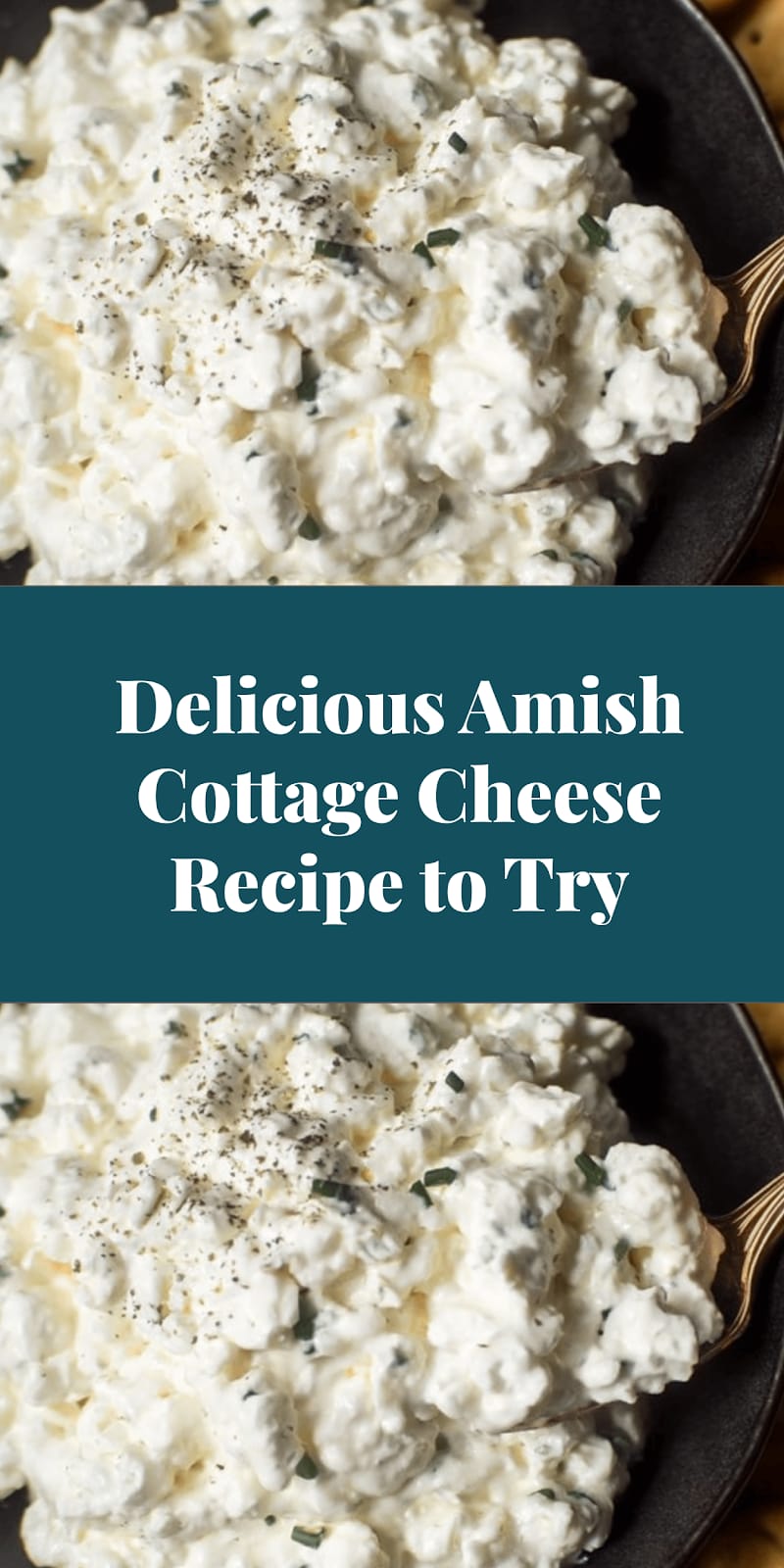 Delicious Amish Cottage Cheese Recipe to Try