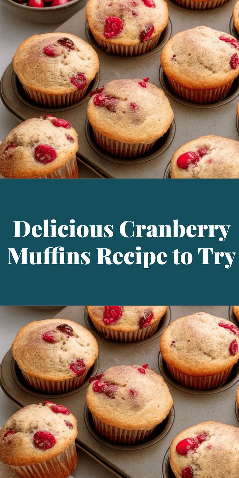 Delicious Cranberry Muffins Recipe to Try