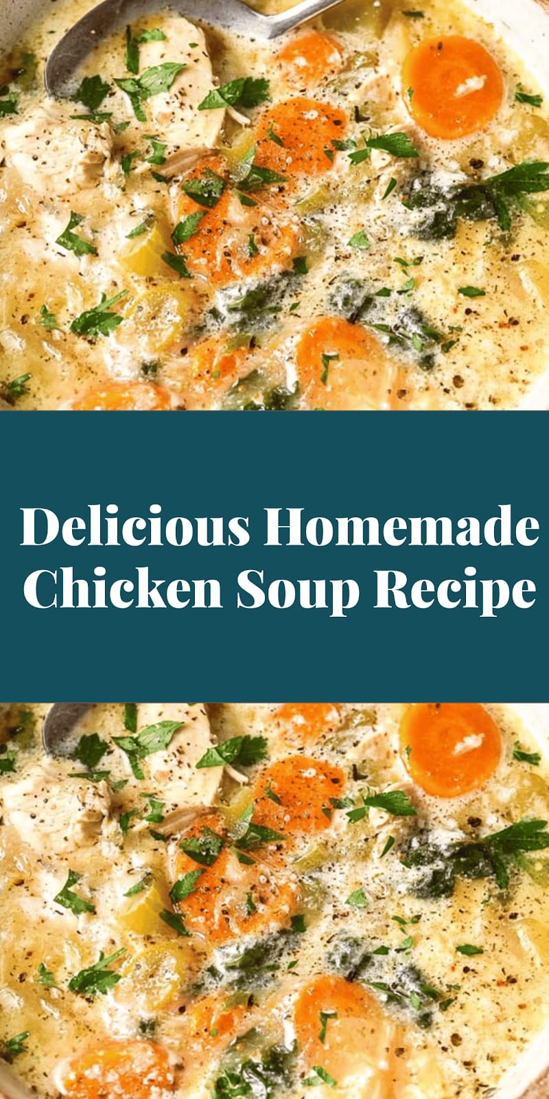 Delicious Homemade Chicken Soup Recipe