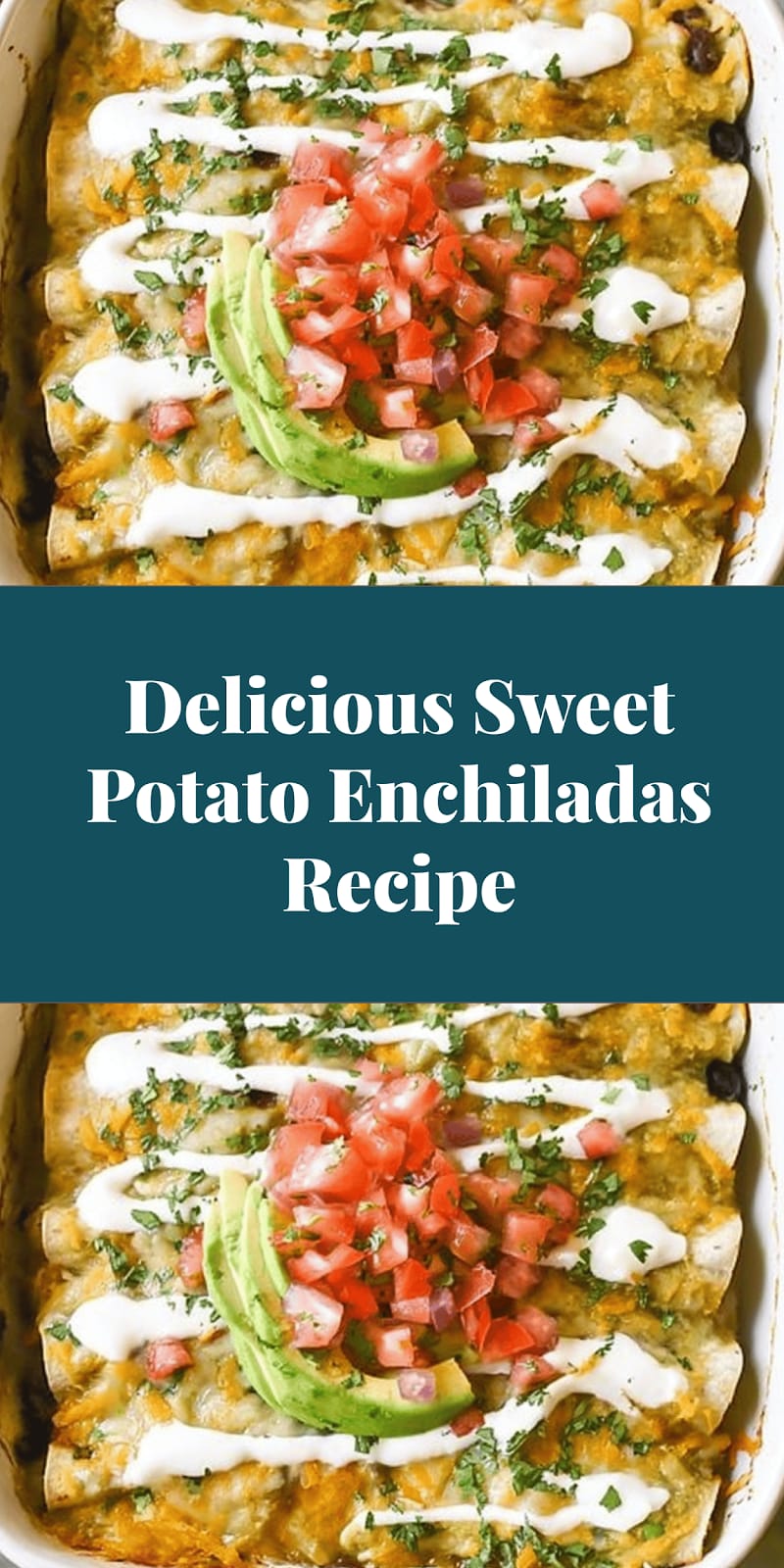 Delicious Sweet Potato Enchiladas Recipe