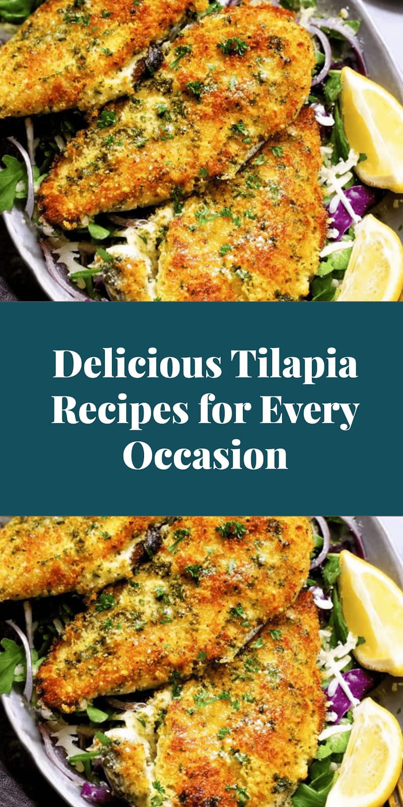 Delicious Tilapia Recipes for Every Occasion