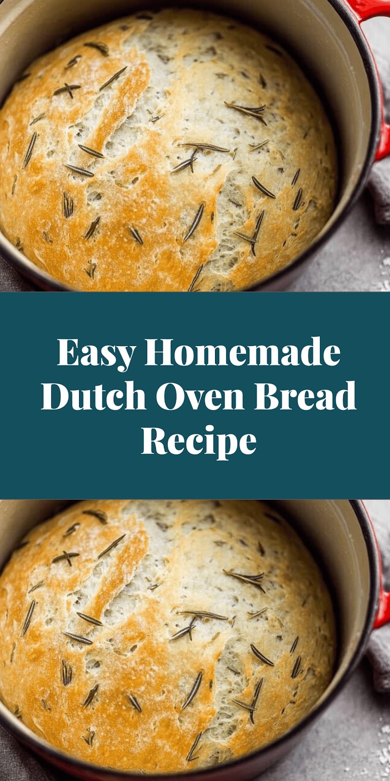 Easy Homemade Dutch Oven Bread Recipe