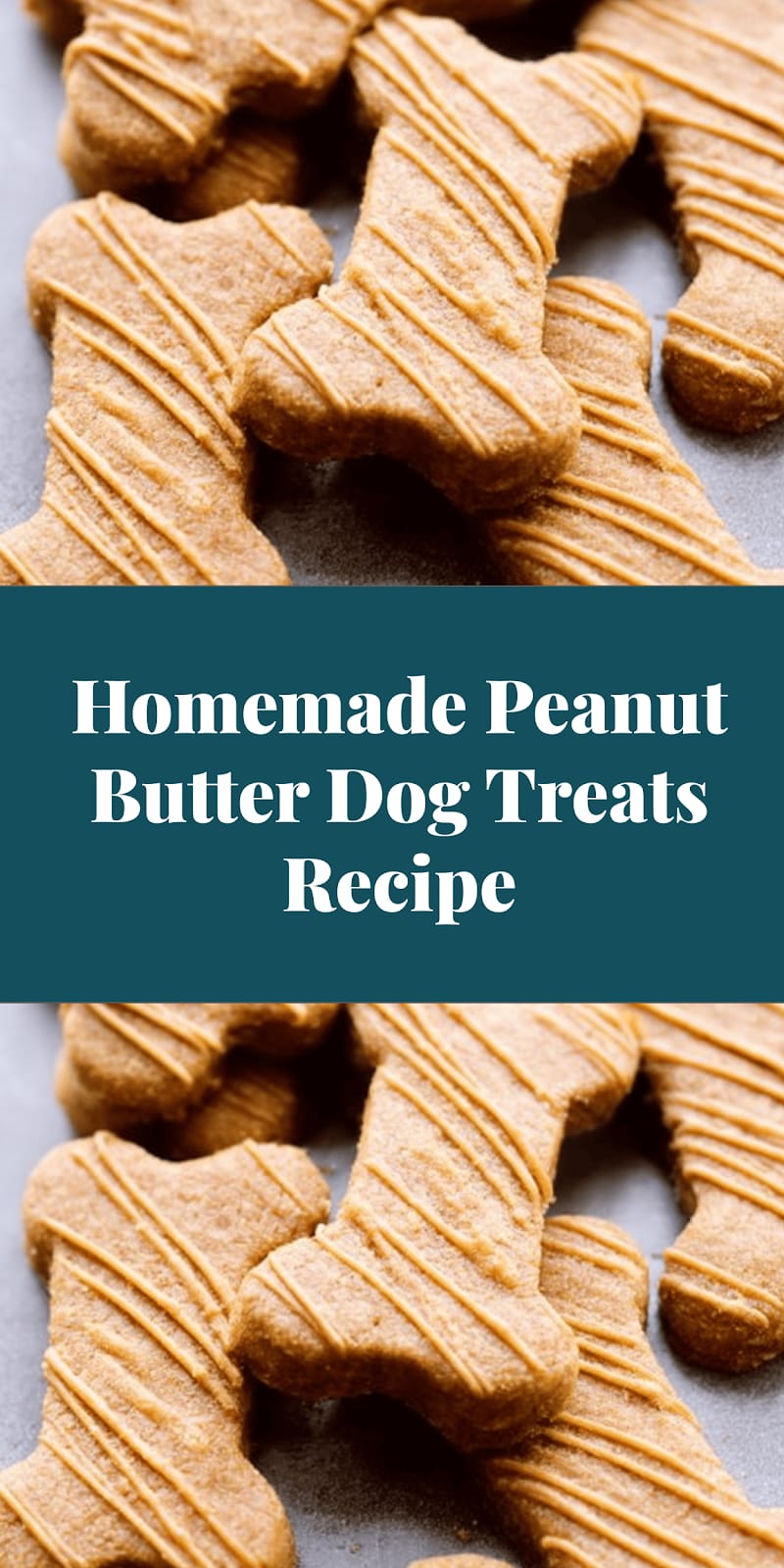 Homemade Peanut Butter Dog Treats Recipe