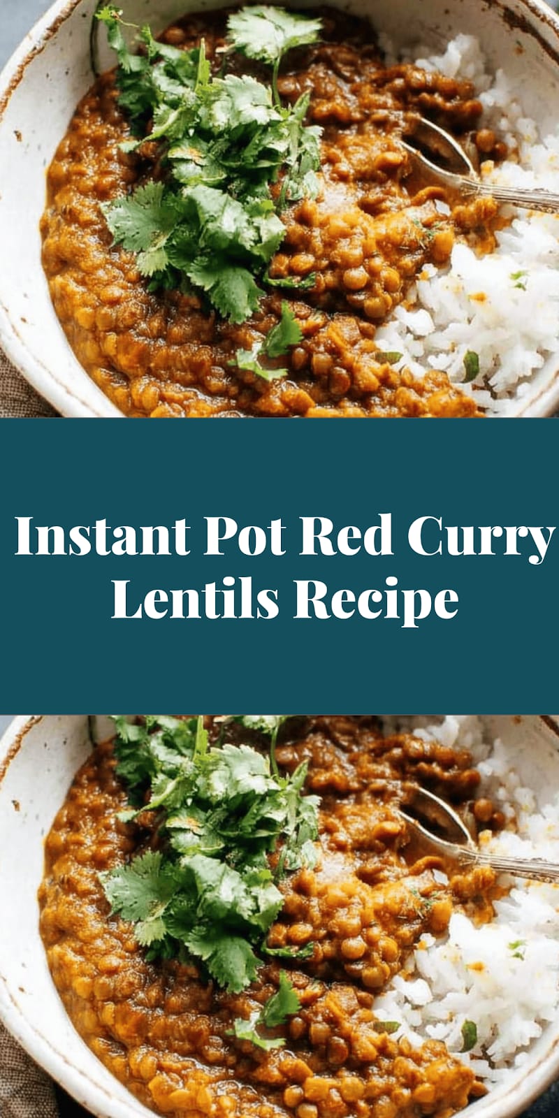 Instant Pot Red Curry Lentils Recipe
