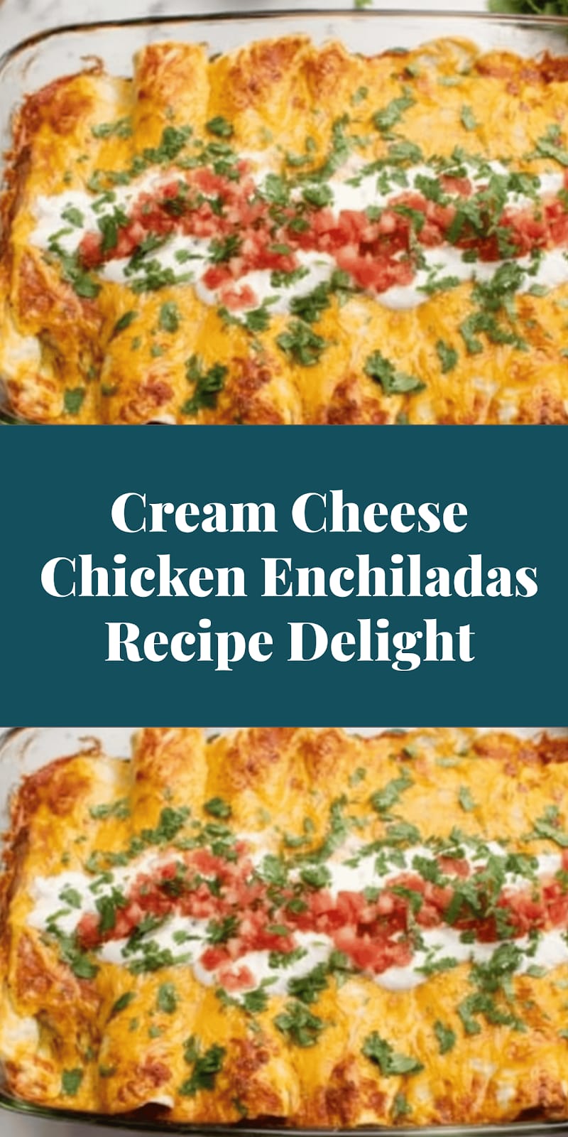 Cream Cheese Chicken Enchiladas Recipe Delight