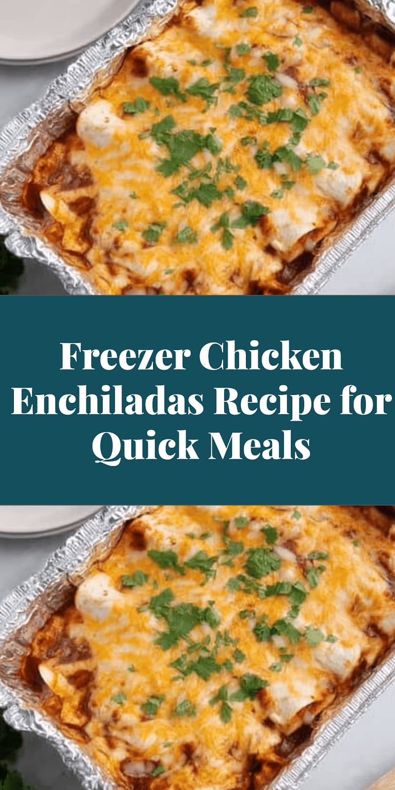 Freezer Chicken Enchiladas Recipe for Quick Meals